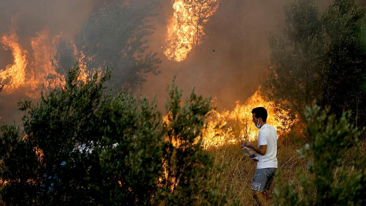 Türkiyədə meşə yanğınları törədənlər saxlanıldı
